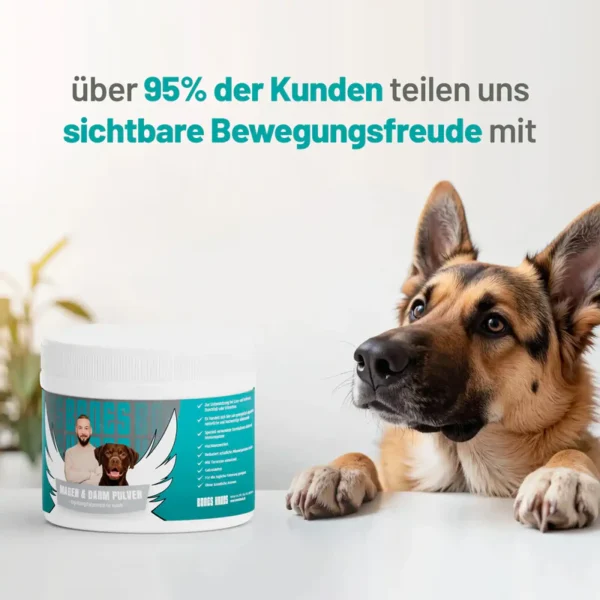 Magen & Darm Pulver für Hunde - Image 3